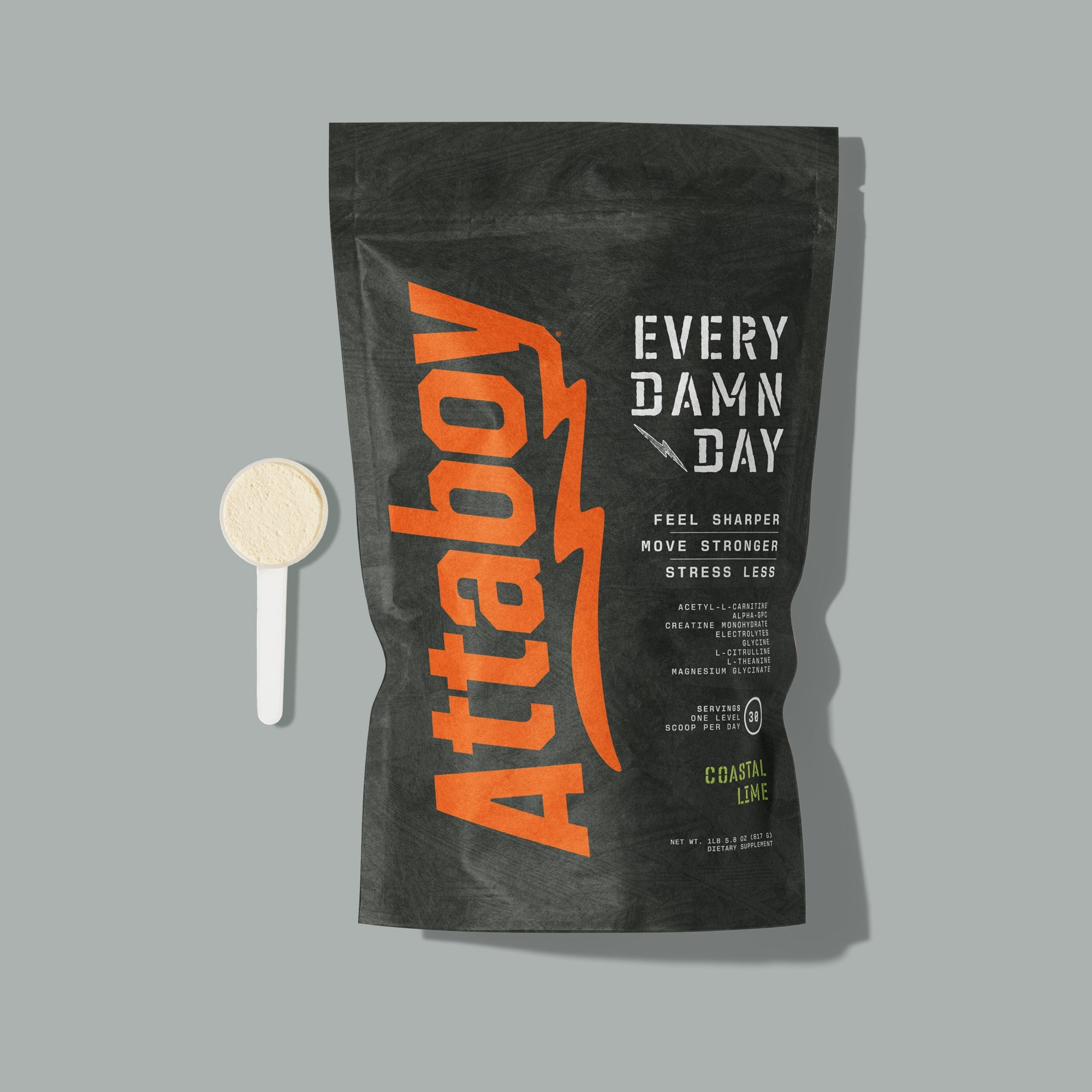 EVERY DAMN DAY - Attaboy